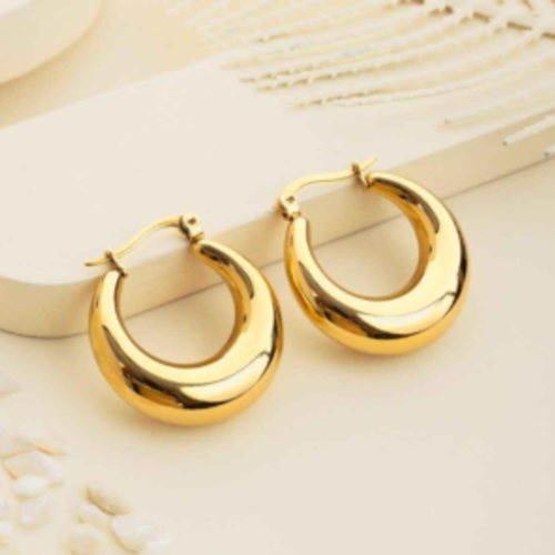 Trendy & Elegant Hoop Earrings